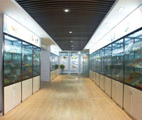 样袋展示厅